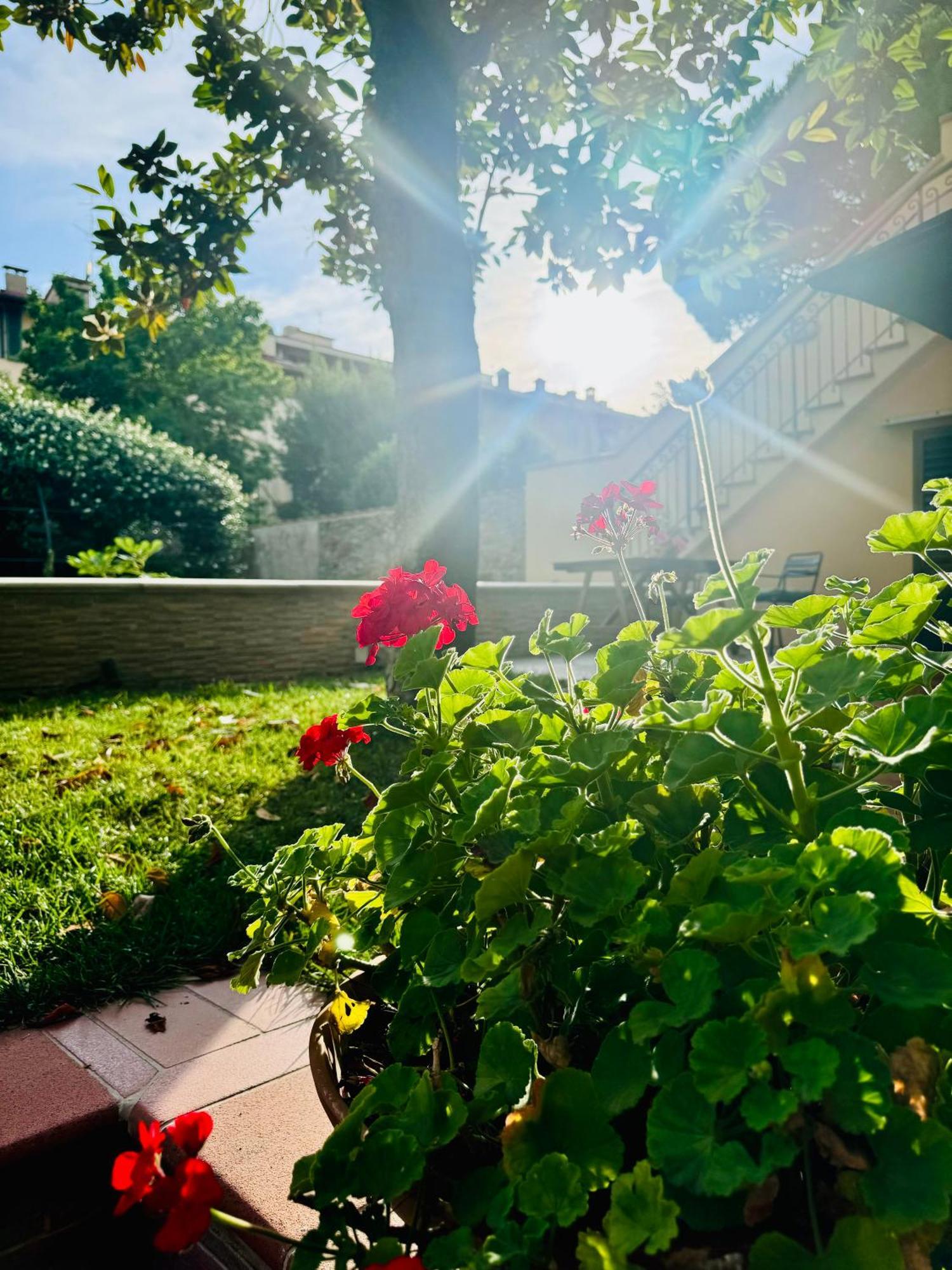 La Casa Di Grace Apartment Florence Ngoại thất bức ảnh
